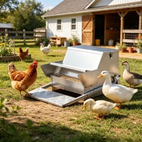 Automatic Chicken Feeder